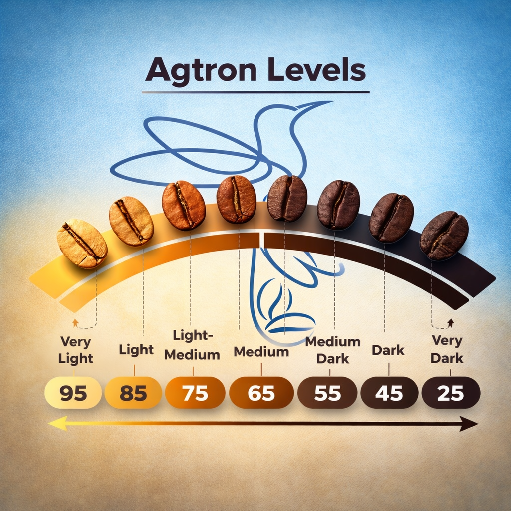 Agtron Levels: Understanding Coffee Roast Color — MIYI Coffee Roasters Co.